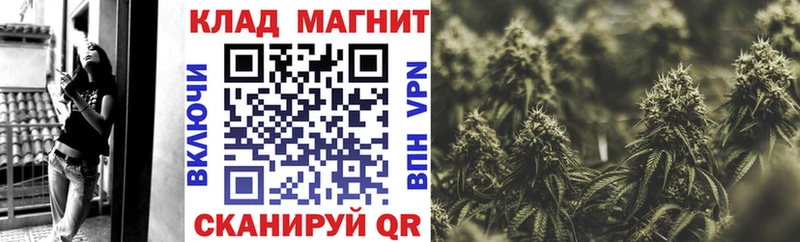 ГАШИШ Кингисепп