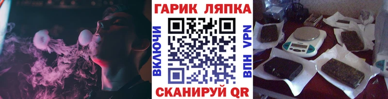 как найти наркотики  Кингисепп  Гашиш Cannabis 
