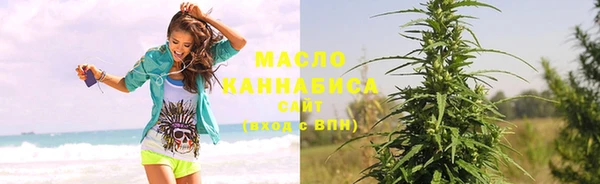 индика Наволоки