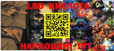 мдпв Гусев