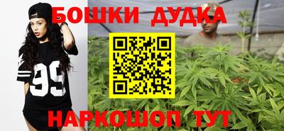 мдпв Гусев