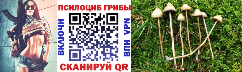 Галлюциногенные грибы Magic Shrooms  кракен рабочий сайт  Кингисепп 