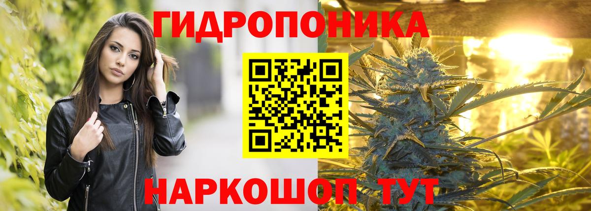 МДМА Кингисепп